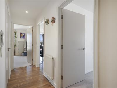 Picture 9